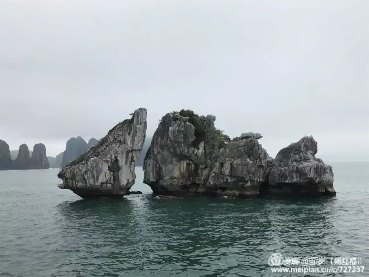 跟屁虫图片