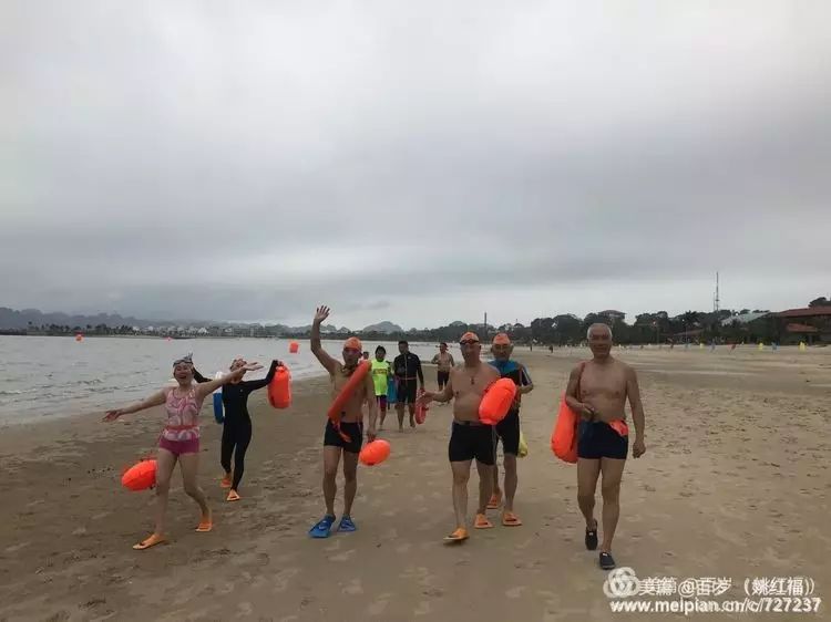 跟屁虫图片