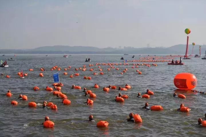 跟屁虫 浪姿