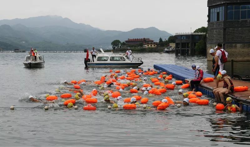跟屁虫 浪姿