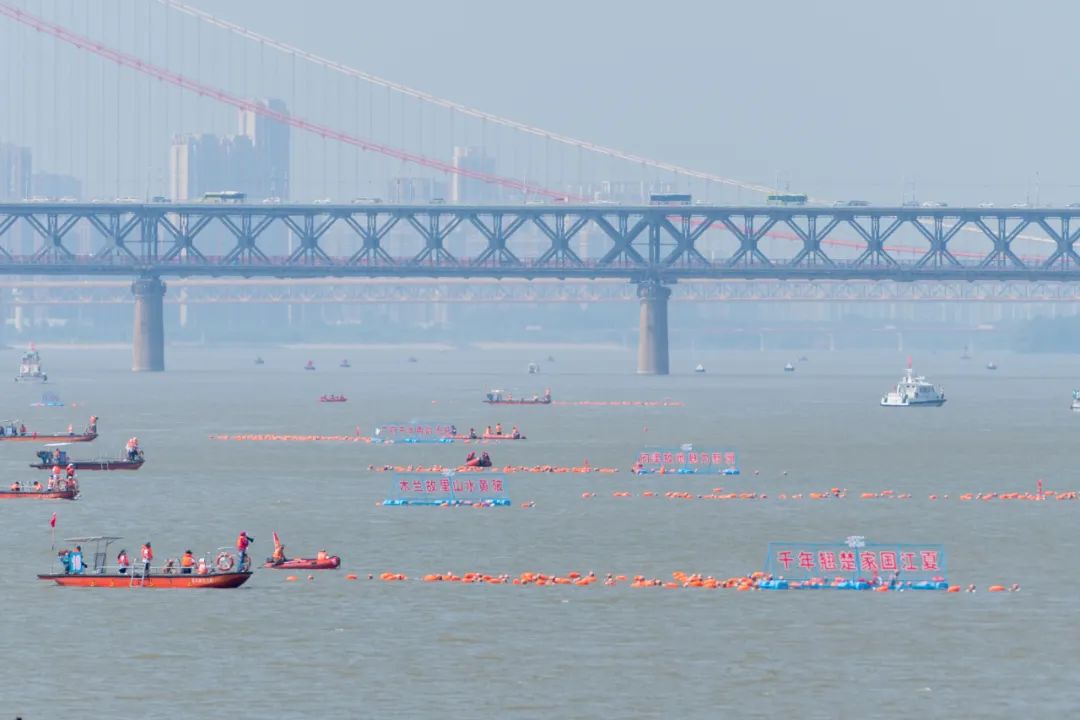 跟屁虫 浪姿