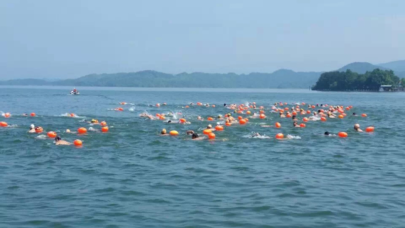 跟屁虫 浪姿